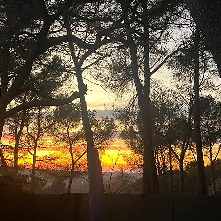 Maison Provencale Au Calme De La Campagne Avec Jacuzzi Aix-en-Provence Exteriér fotografie