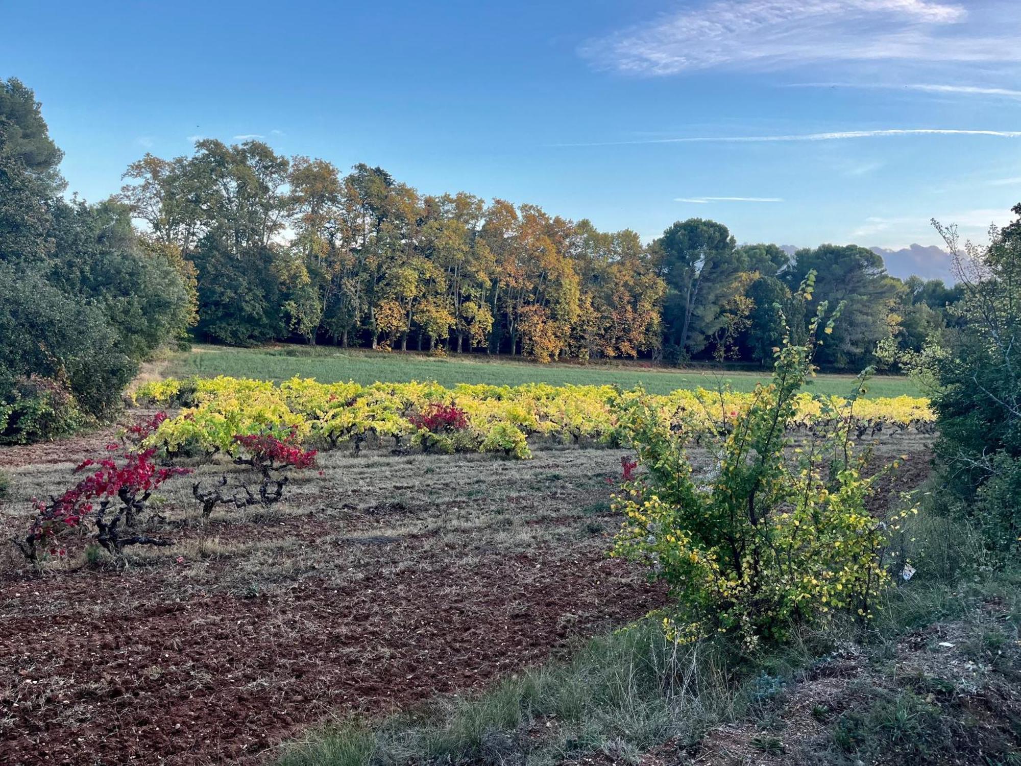Maison Provencale Au Calme De La Campagne Avec Jacuzzi Aix-en-Provence Exteriér fotografie