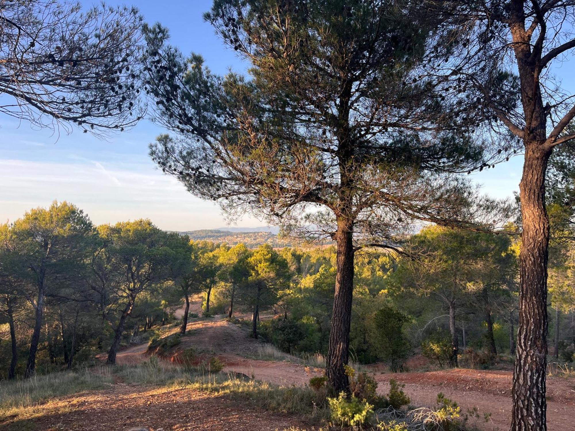 Maison Provencale Au Calme De La Campagne Avec Jacuzzi Aix-en-Provence Exteriér fotografie
